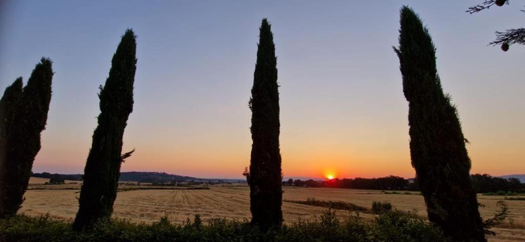 Agriturismo Il Canneto Casole dʼElsa Exterior foto