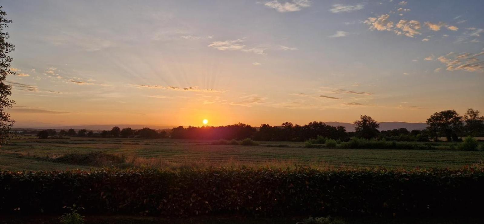 Agriturismo Il Canneto Casole dʼElsa Exterior foto